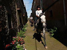 Spain-Catalonia-Wild Coast Wine Trail